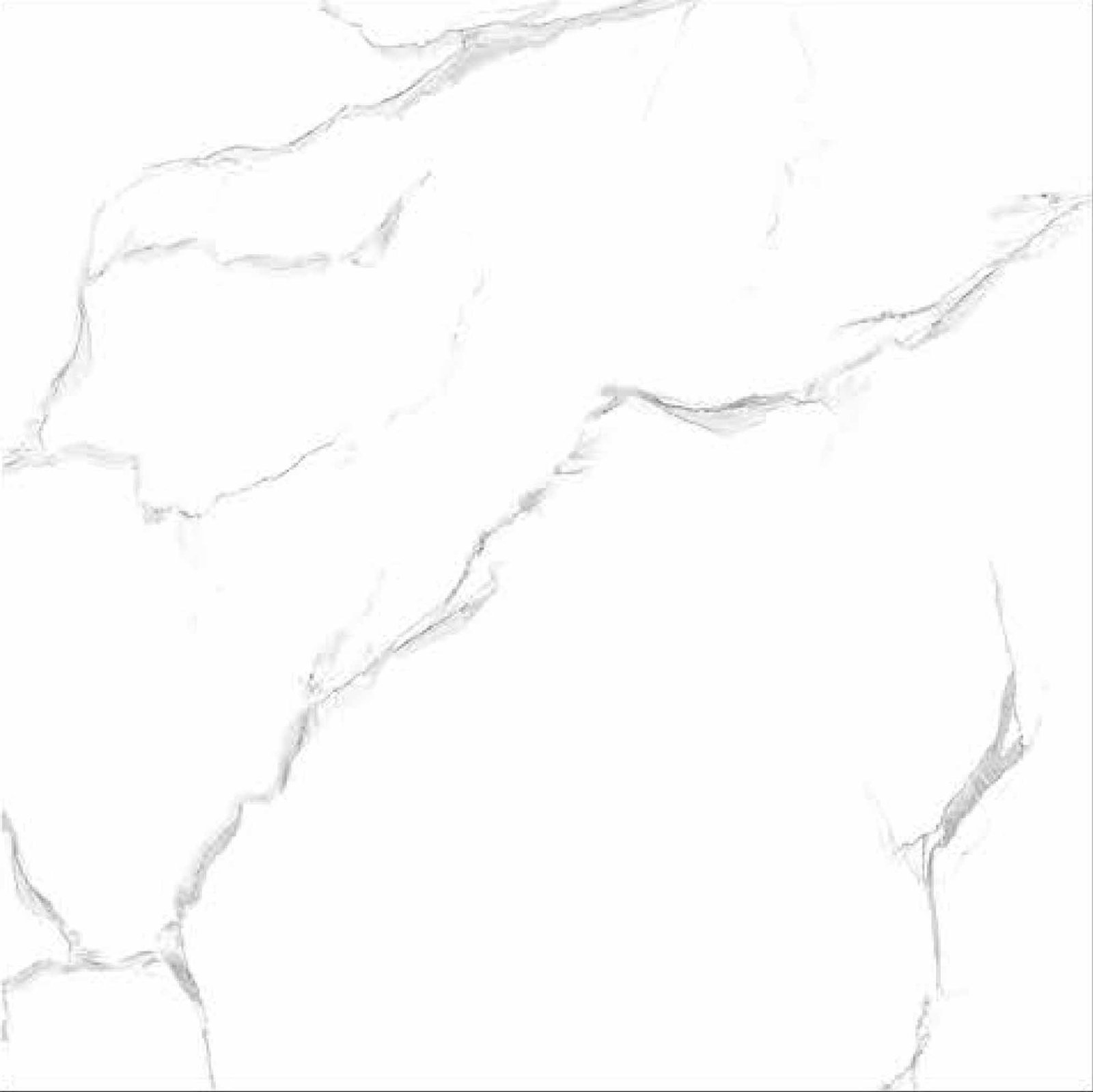 porcelain tiles glossy
